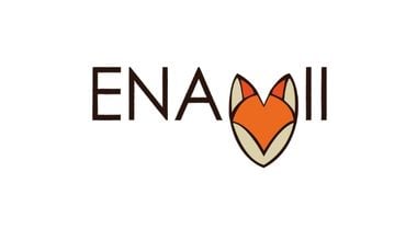 ENAVII 380X220
